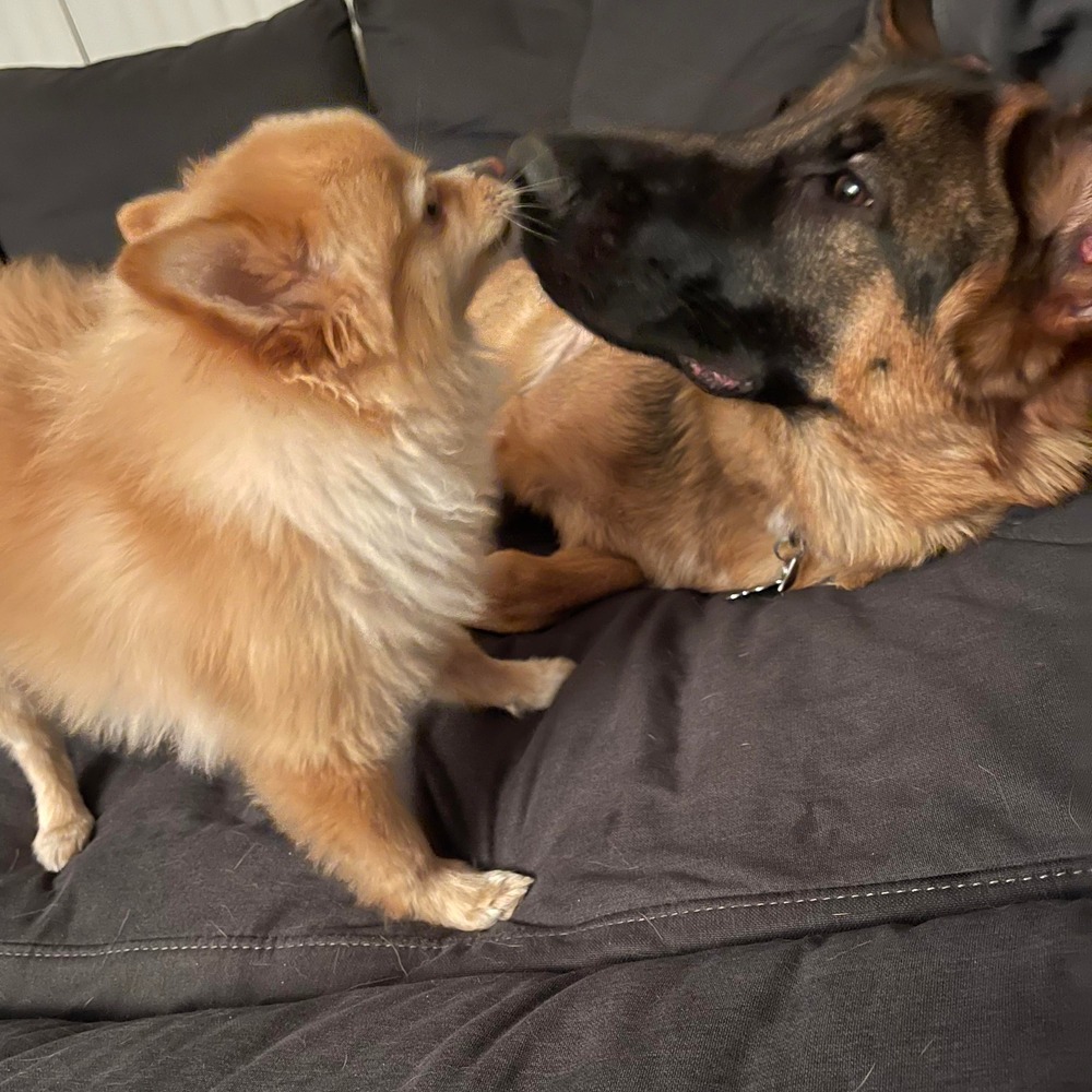 Meet your Posher, Scott